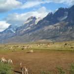 Patagonian landscape