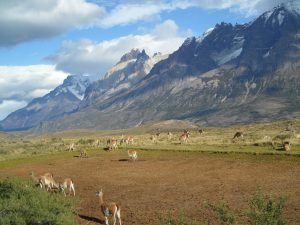 Patagonian landscape