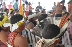 Indigenous Culture