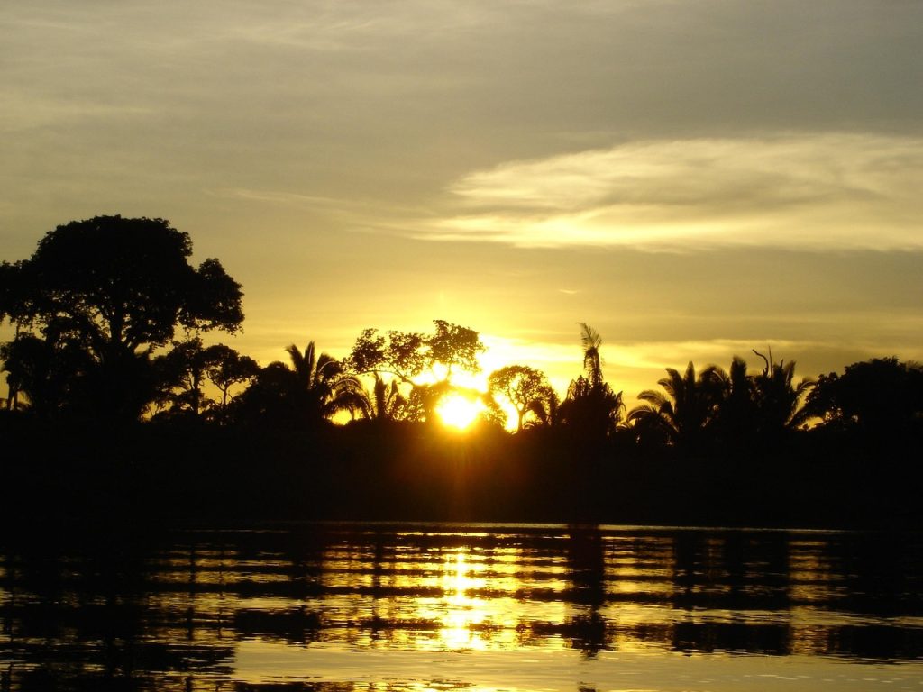Amazon Sunset