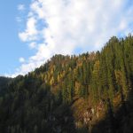 The wooded mountains and steppe of Khakassia in southern Siberia