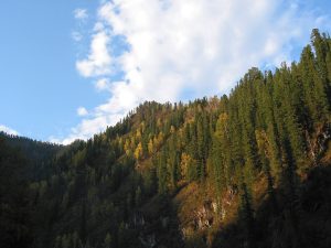 The wooded mountains and steppe of Khakassia in southern Siberia