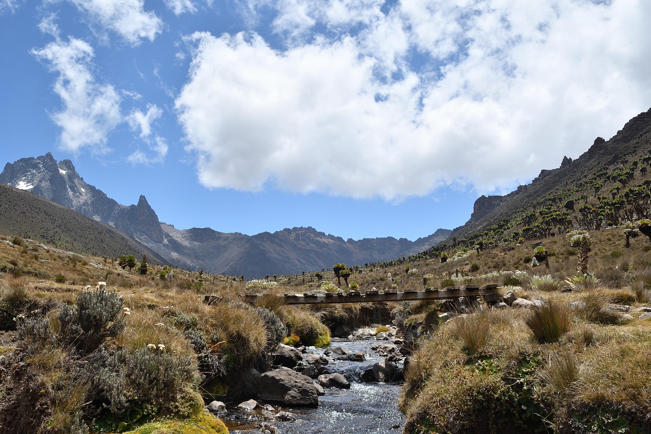 The slopes of Mount Kenya