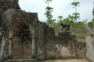 The ruins of Kilwa Kisiwani, once the wealthiest of the Swahili trading city-states on the East African coast