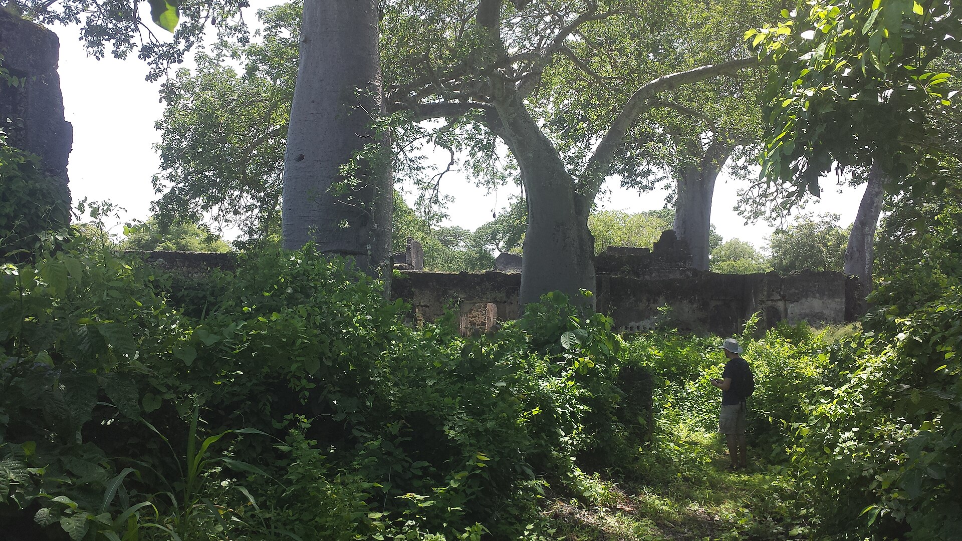 The ruins of Songo Mnara, a sister town to Kilwa set on a neighbouring island