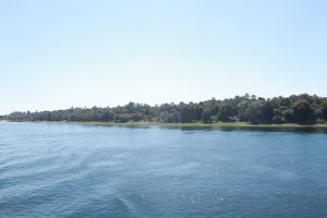 The Temple of Kom Ombo standing above the Nile in southern Egypt.