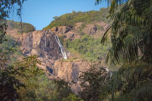 A jungle waterfall in the green hills of Goa