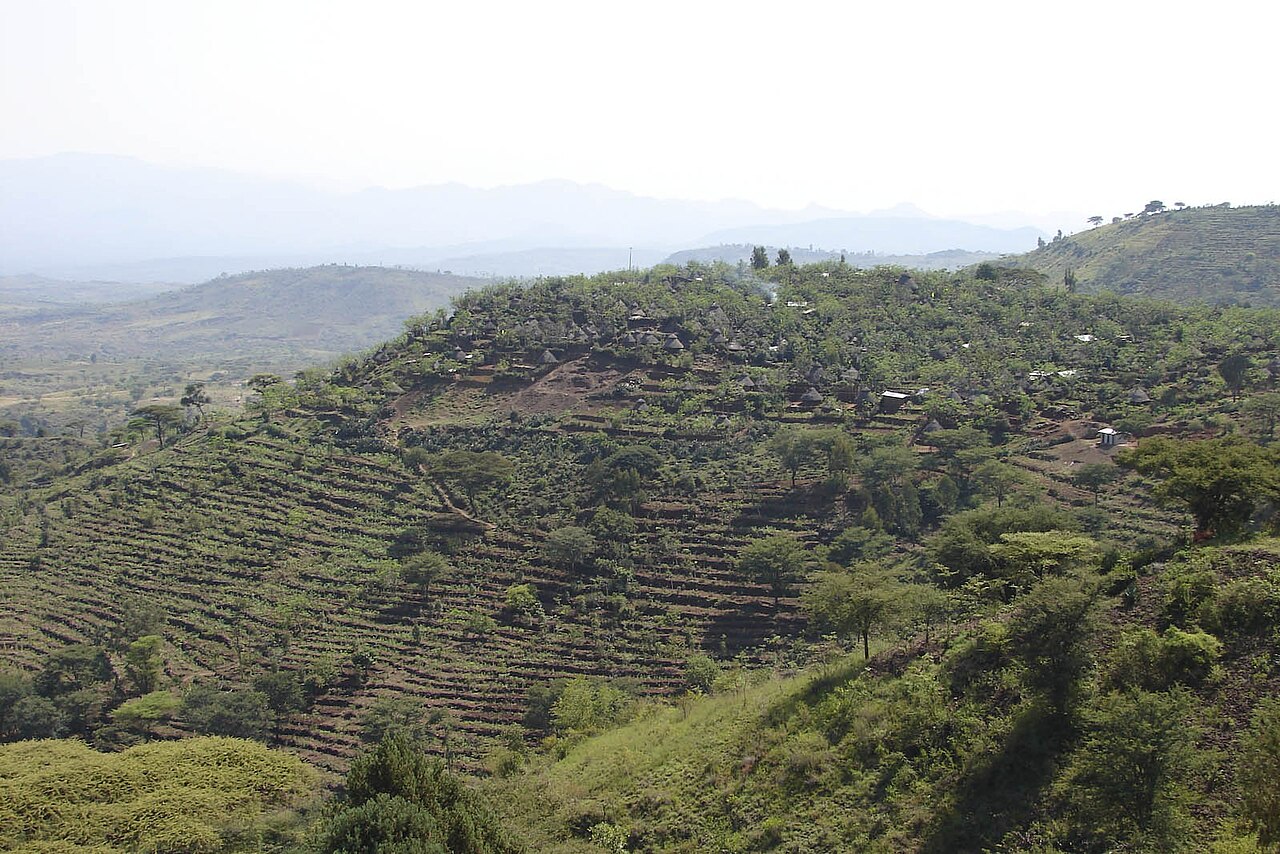 The terraced highlands of the Konso country in southern Ethiopia.