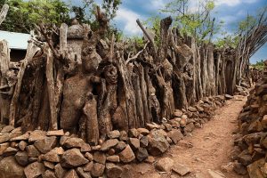 A walled Konso village on its hilltop, a defensive settlement of the people.