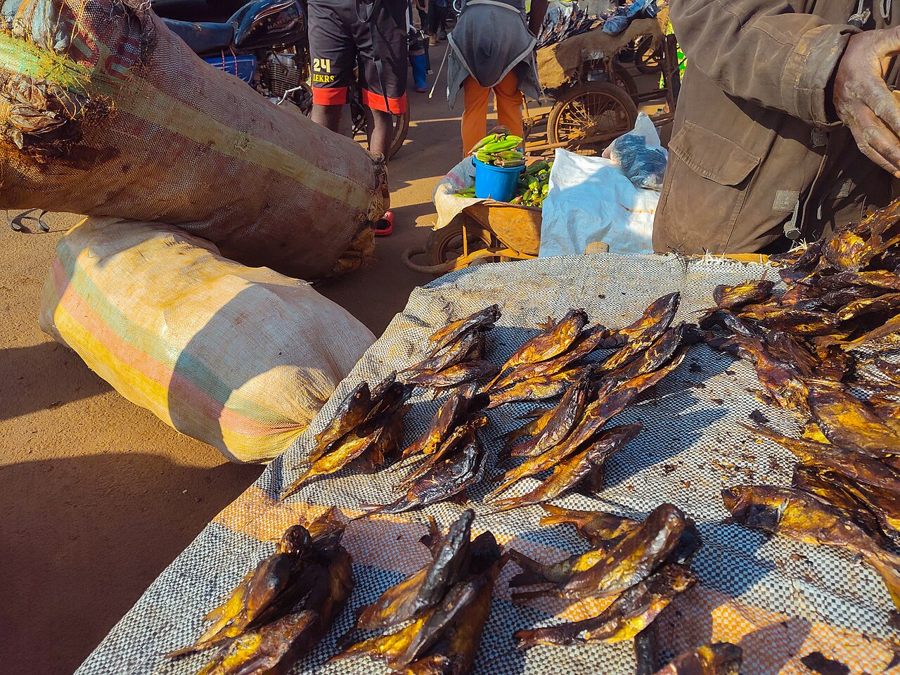 Smoked fish for sale, a staple of the coastal Kru diet.