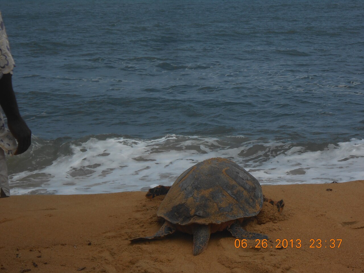 A beach on the Liberian coast, the maritime home of the Kru.