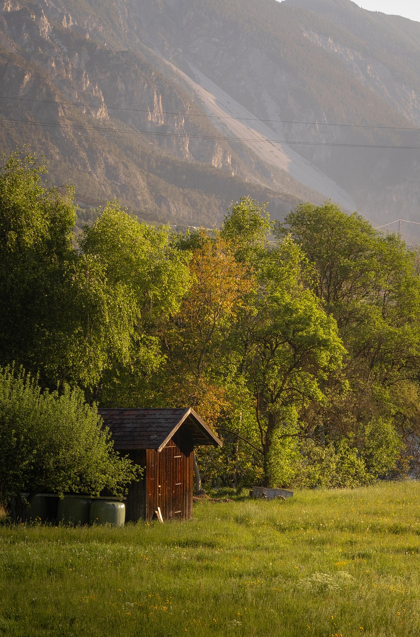A village hut