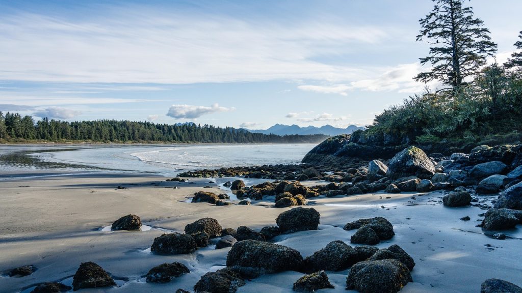 Beach Tofino photo and picture