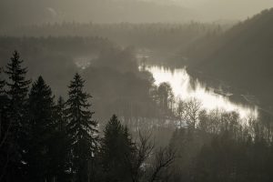 The Gauja River