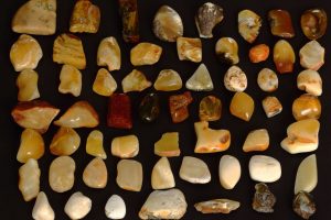 Baltic amber