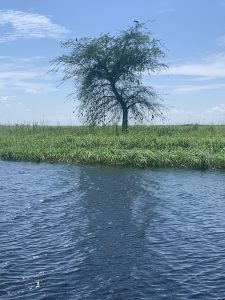 The town of Mongu on the Zambezi, in the Lozi country today.