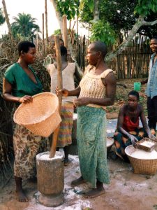 Preparing fufu, the cassava staple of the Lunda.