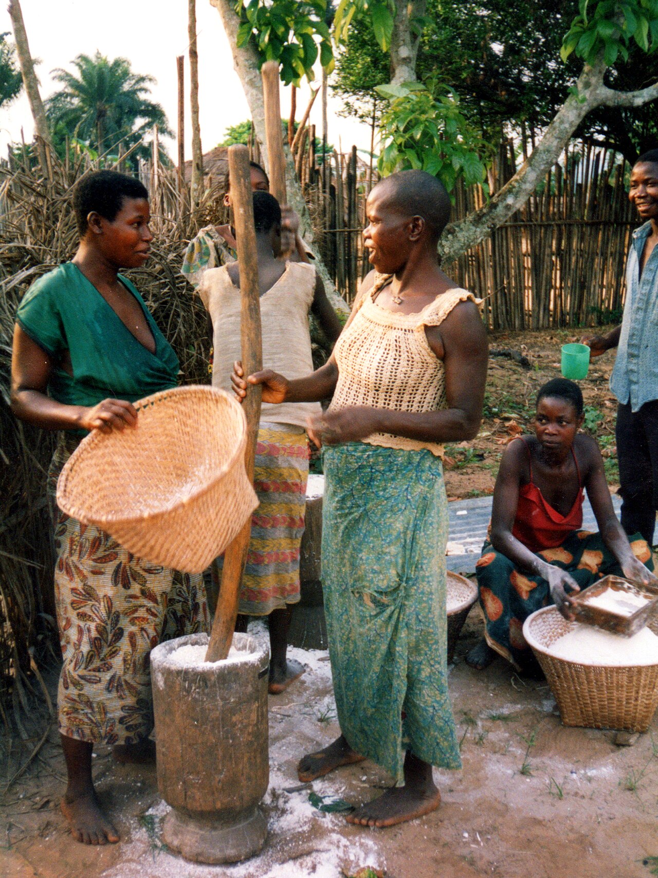 Preparing fufu, the cassava staple of the Lunda.