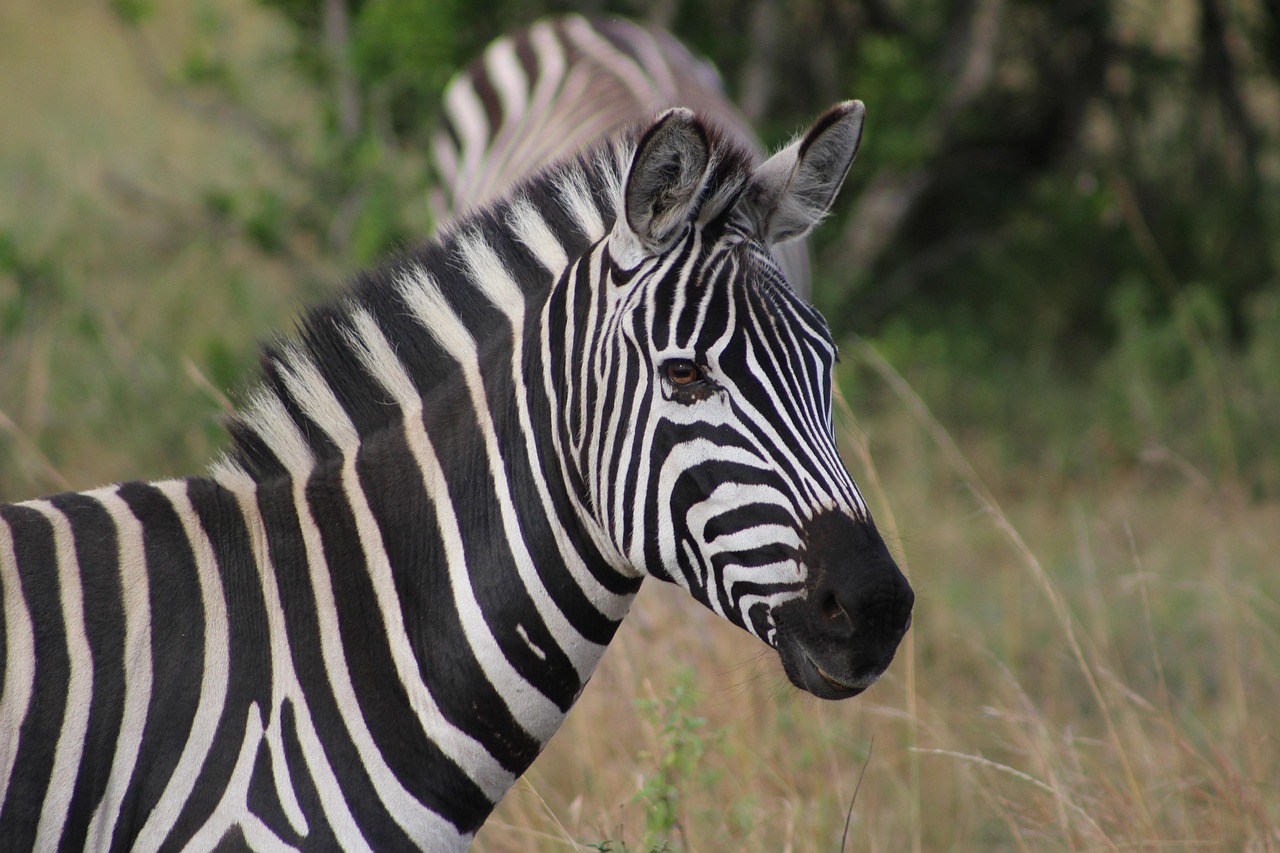 The lakeland of Kenya