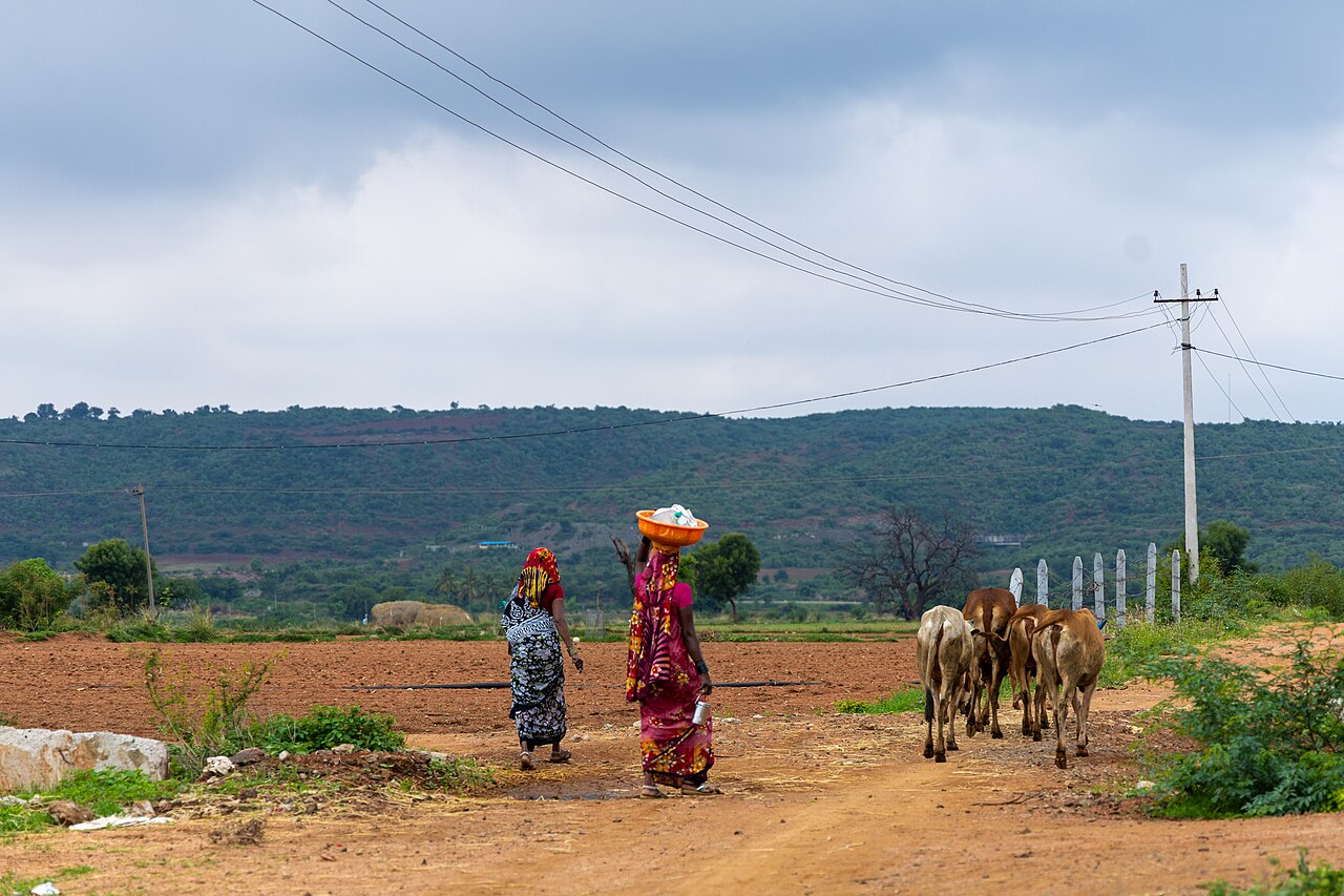 Rural life in the villages of the north Indian plains