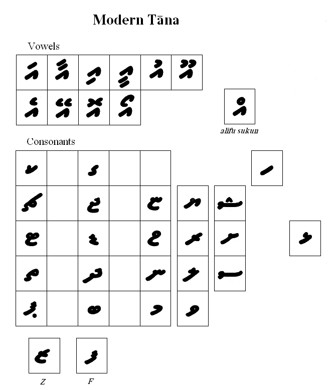 The Thaana script in which the Dhivehi language is written