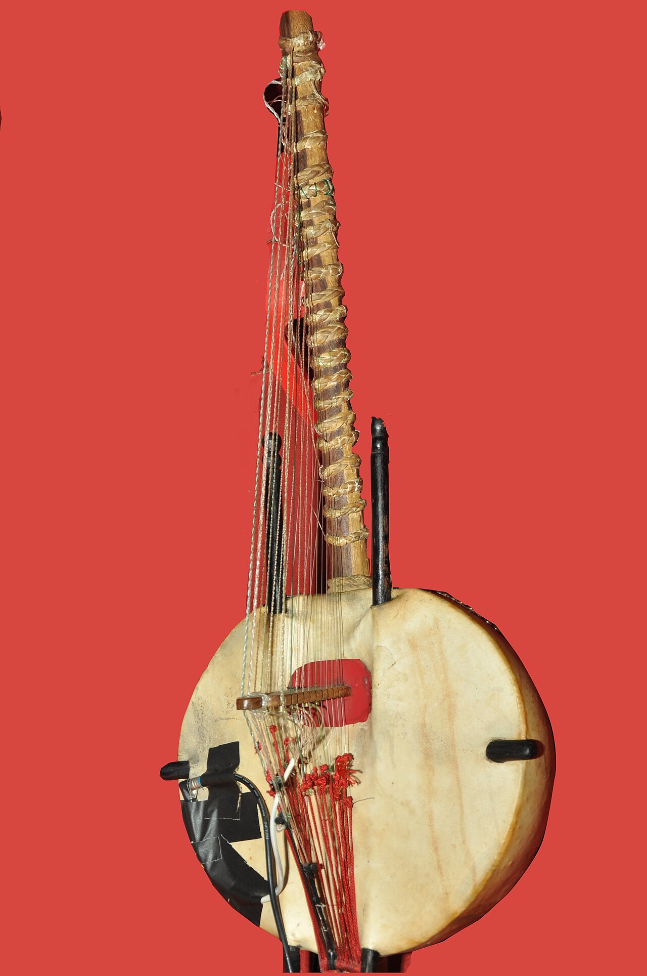 The kora, the twenty-one-stringed harp-lute of the Mande griots.