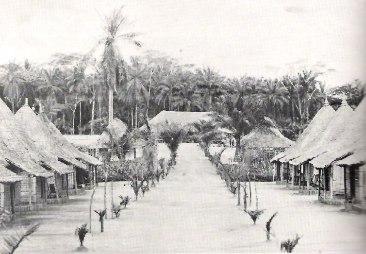 The town of Isiro, a modern centre of the Mangbetu region.