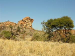 Mapungubwe Hill, the sandstone rise that served as the royal seat of southern Africa's first known state