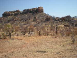 The landscape of Mapungubwe at the confluence of the Limpopo and Shashe rivers in northern South Africa