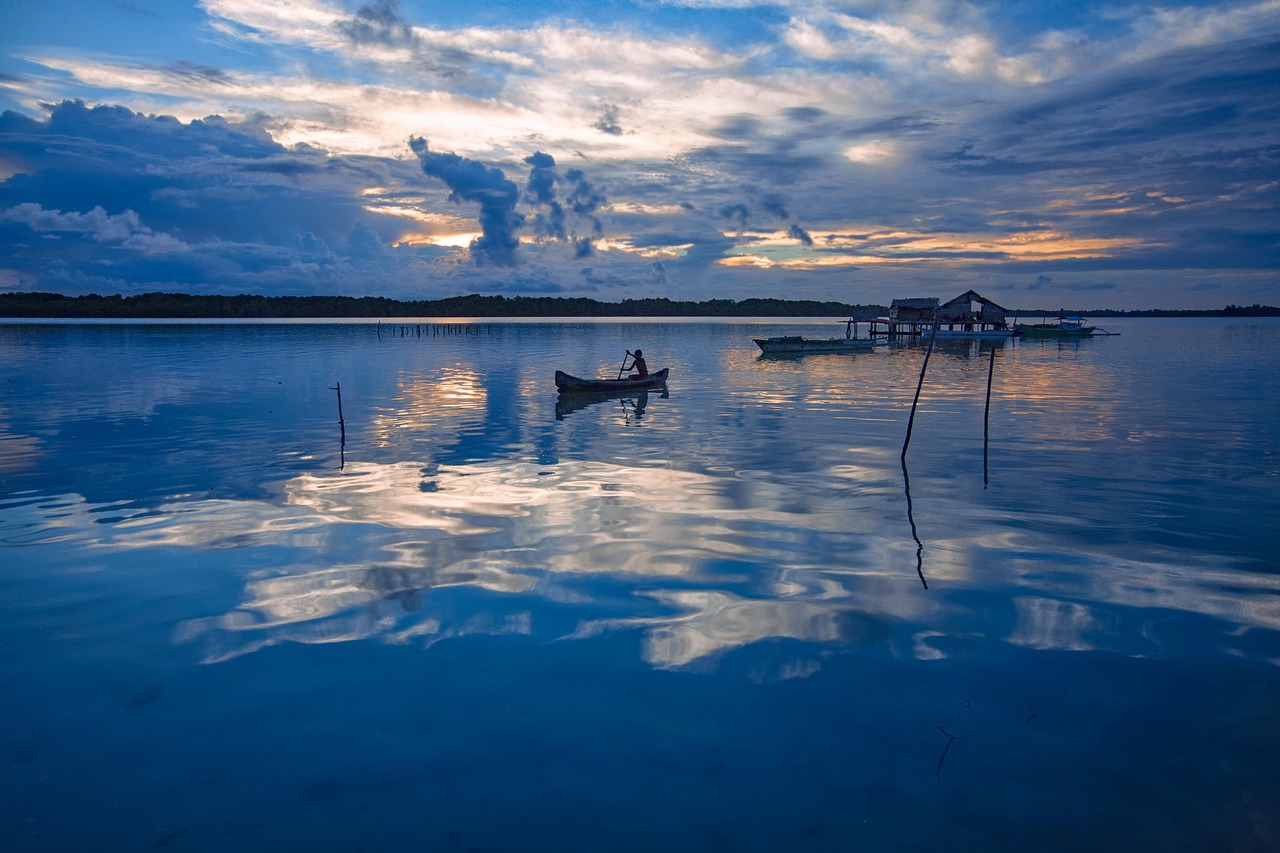 Landscape Tropical