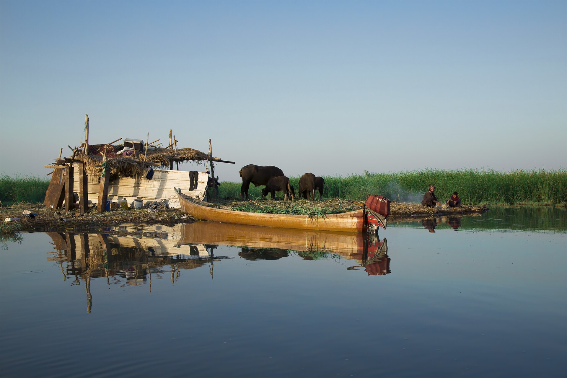The reed-filled marshes of southern Iraq, at the meeting of the Tigris and Euphrates.