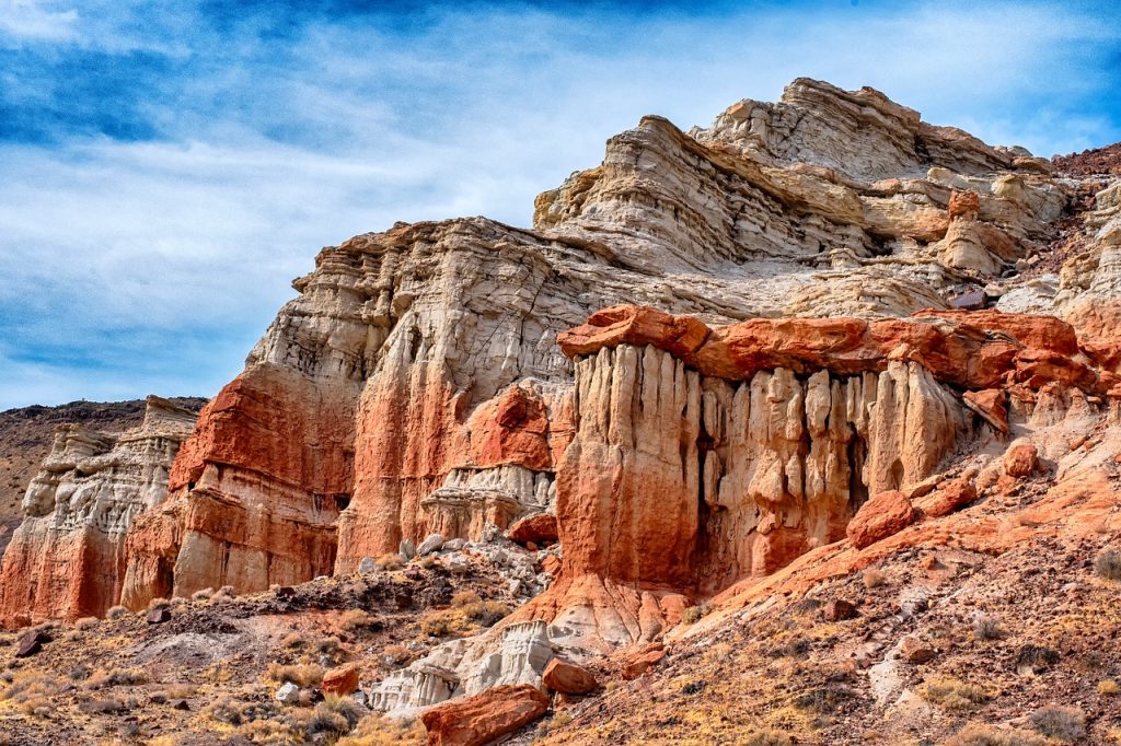 Desert Mojave photo and picture