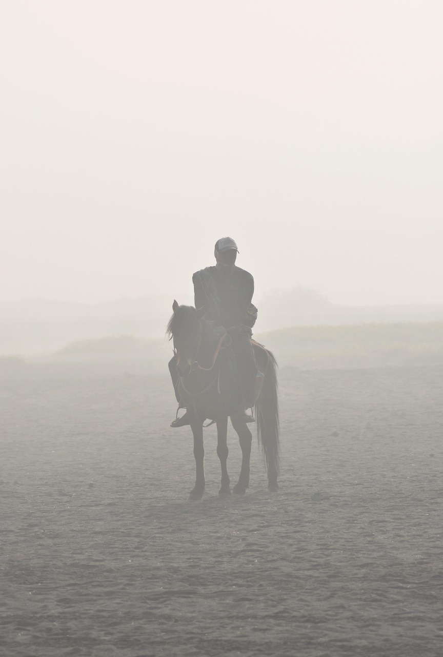 A rider