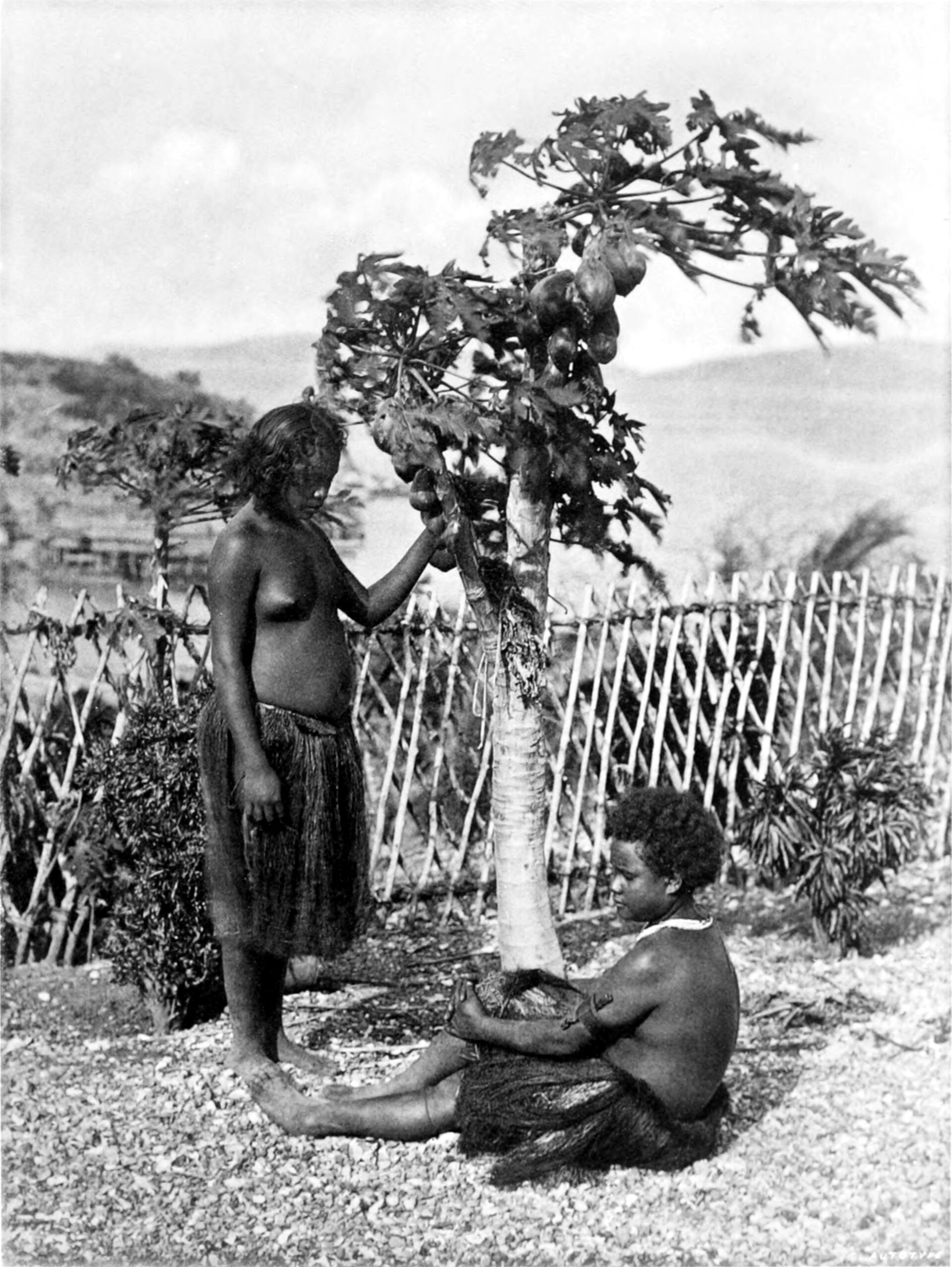 Motu people in a nineteenth-century image; their language gave rise to Hiri Motu.
