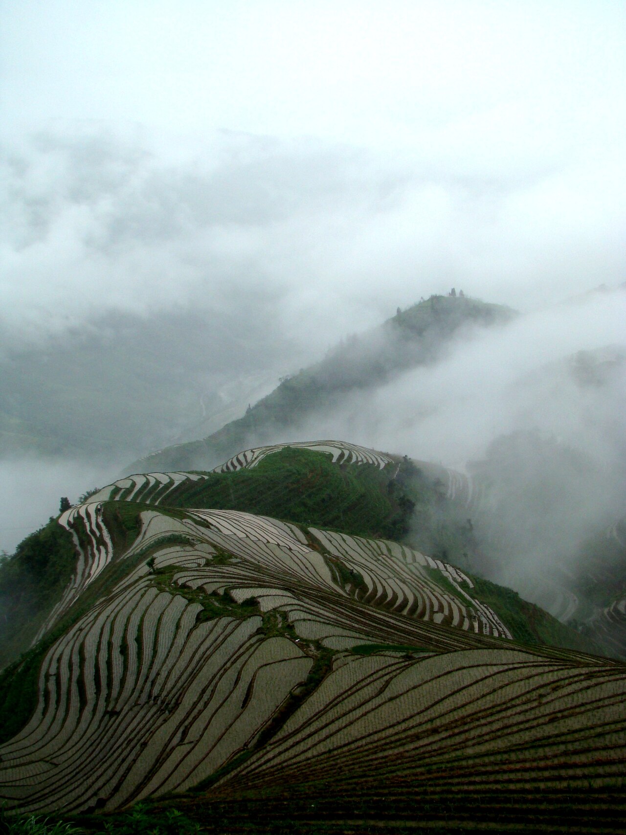 Terraced fields in the Guangxi highlands
