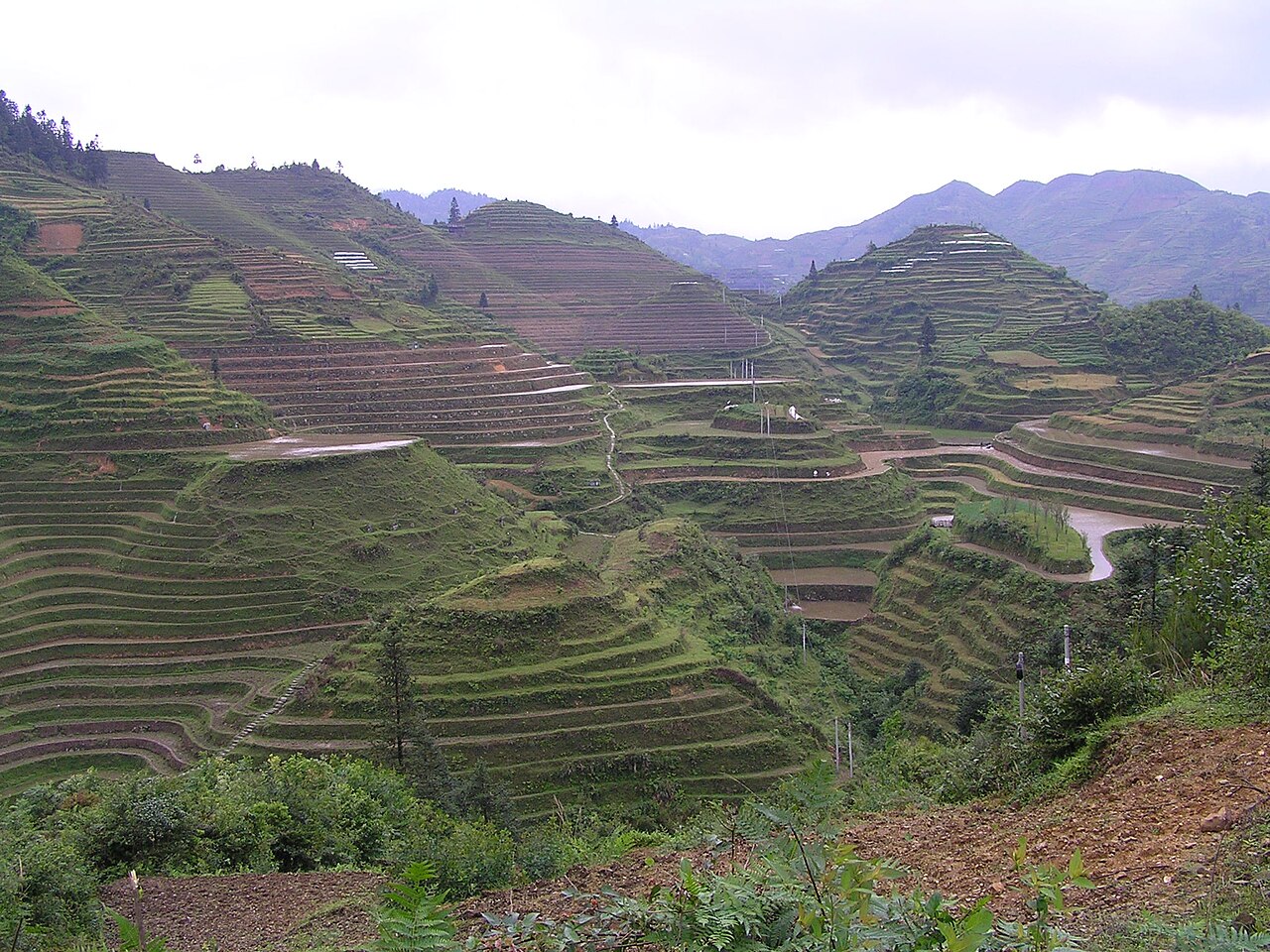The karst farmland of the Guangxi highlands