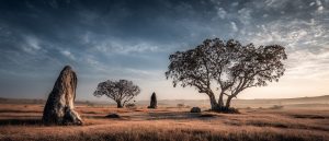 Cerrado savanna landscape