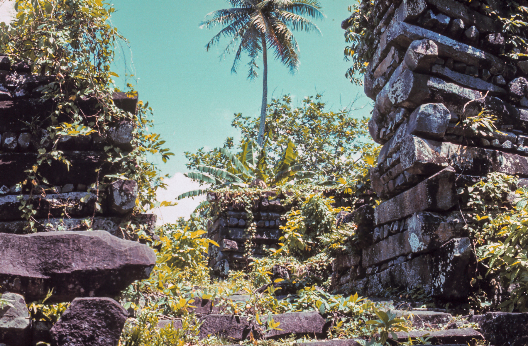 An overview of Nan Madol, a city of nearly a hundred islets in the Pacific.