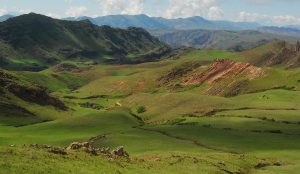 Andean landscape