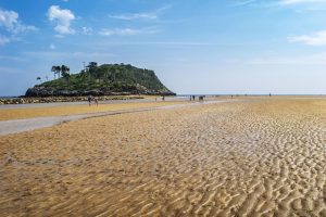 Low Tide Nature