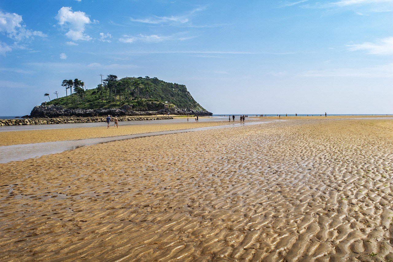 Low Tide Nature