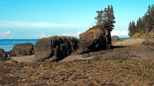 Ocean Coastline