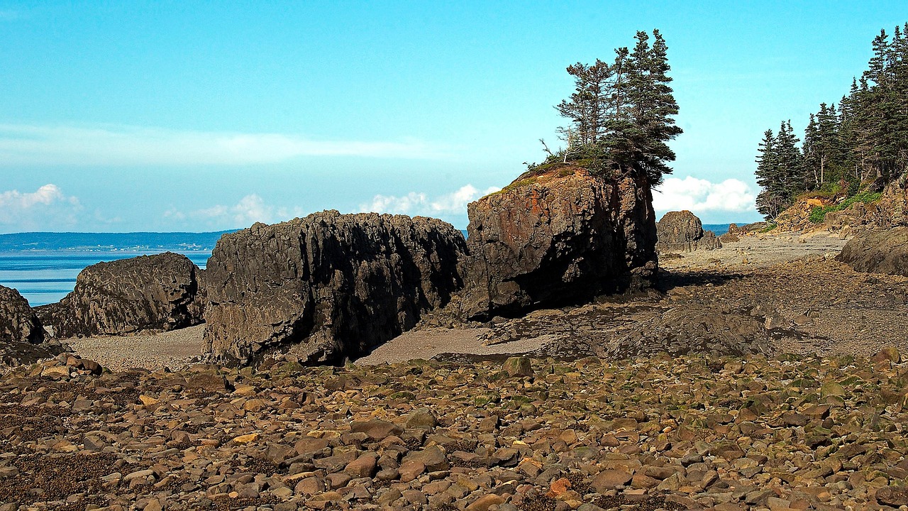 Ocean Coastline