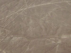 A vast bird figure at Nazca, its wingspan stretching across the plain