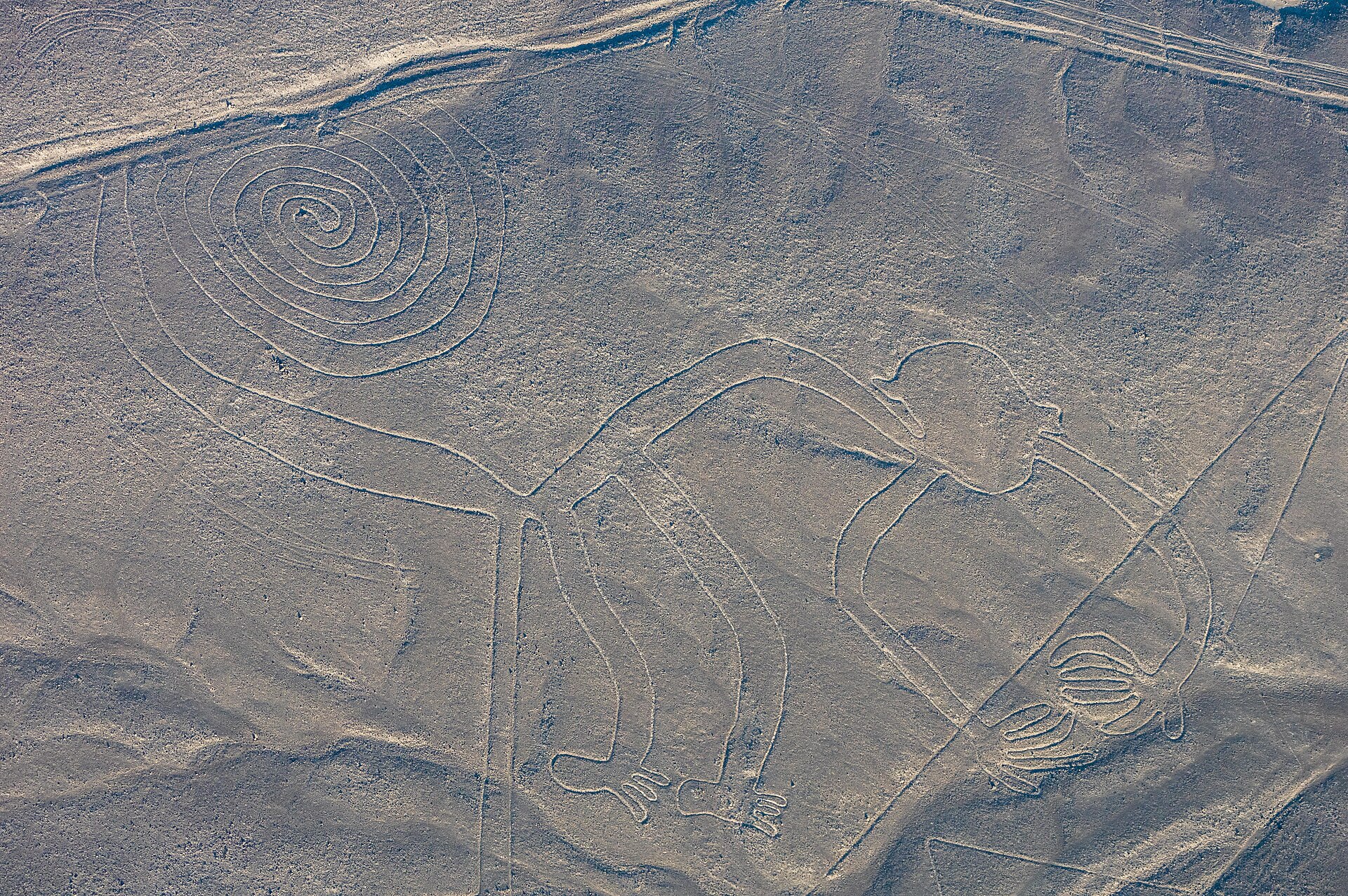 Long straight lines and trapezoids stretching across the Nazca desert