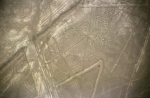 The spider, a precisely drawn geoglyph on the Nazca pampa