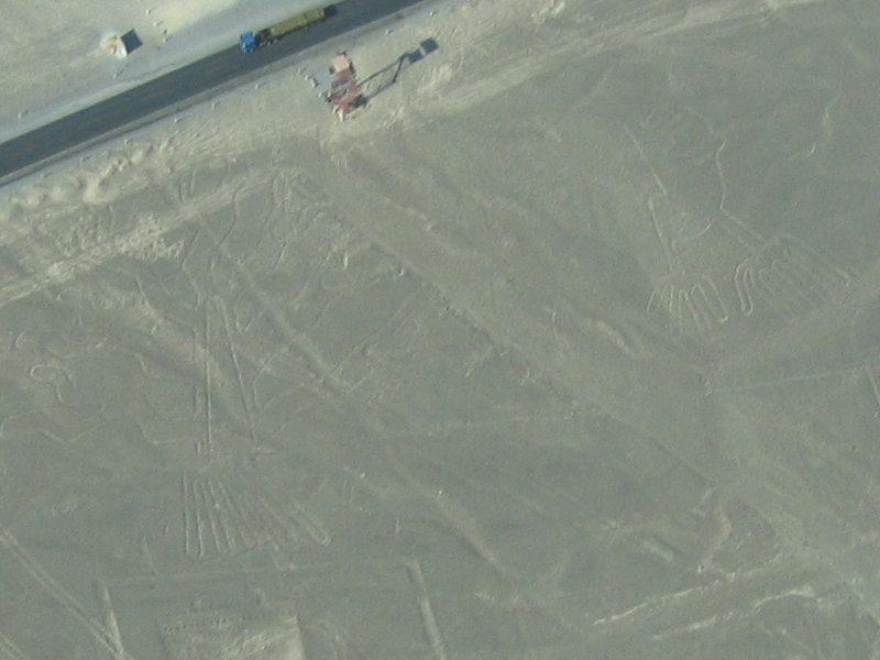 The tree and adjacent figures, crossed by later straight lines at Nazca