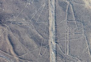 An animal geoglyph on the Nazca plain, one of many creatures depicted