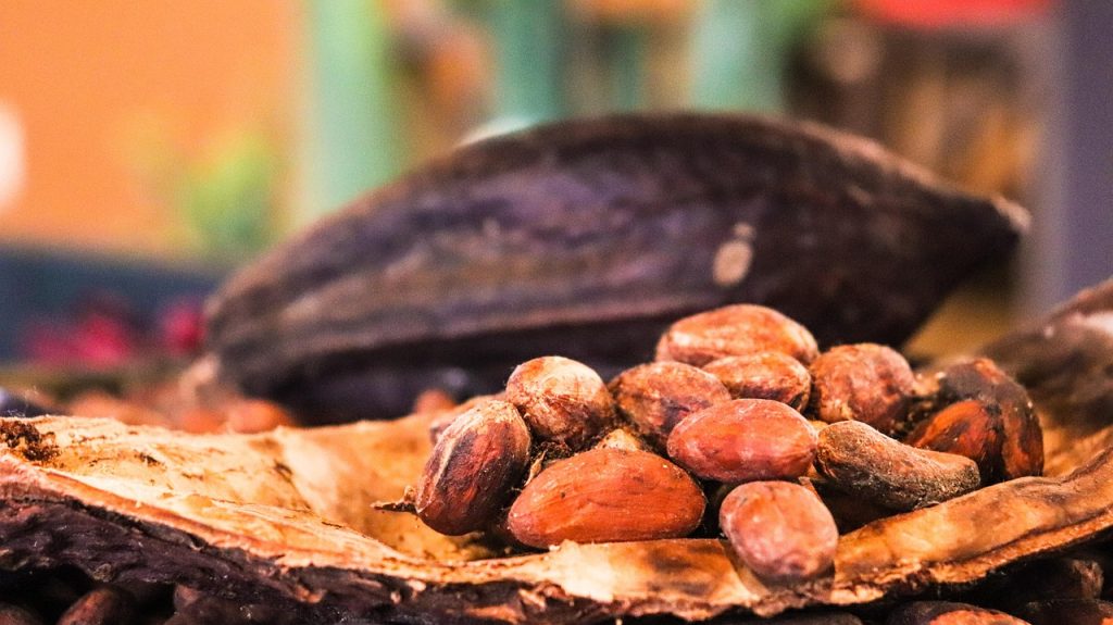 Cacao Cocoa