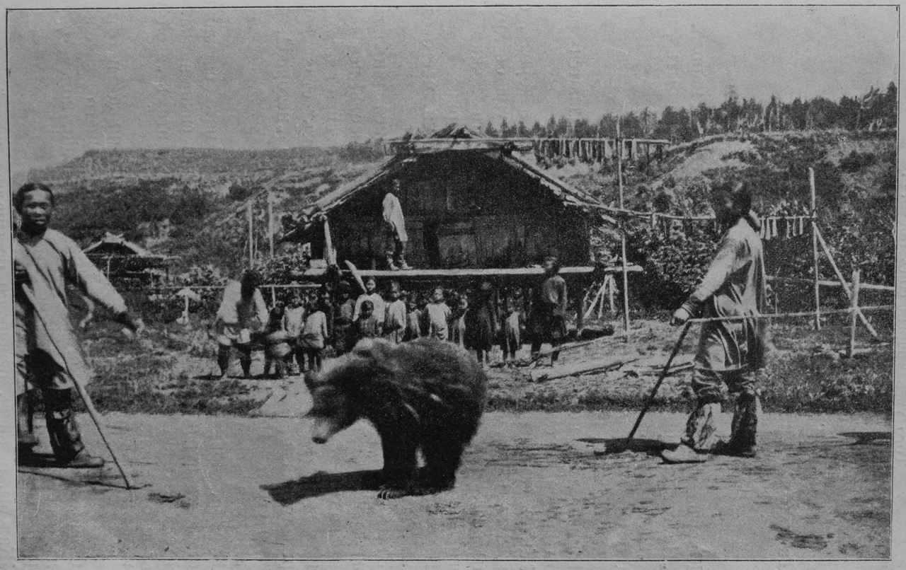 The famed bear festival of the Nivkh